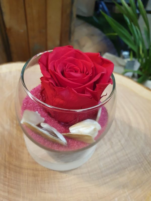 Rose éternelle rouge – Image 4