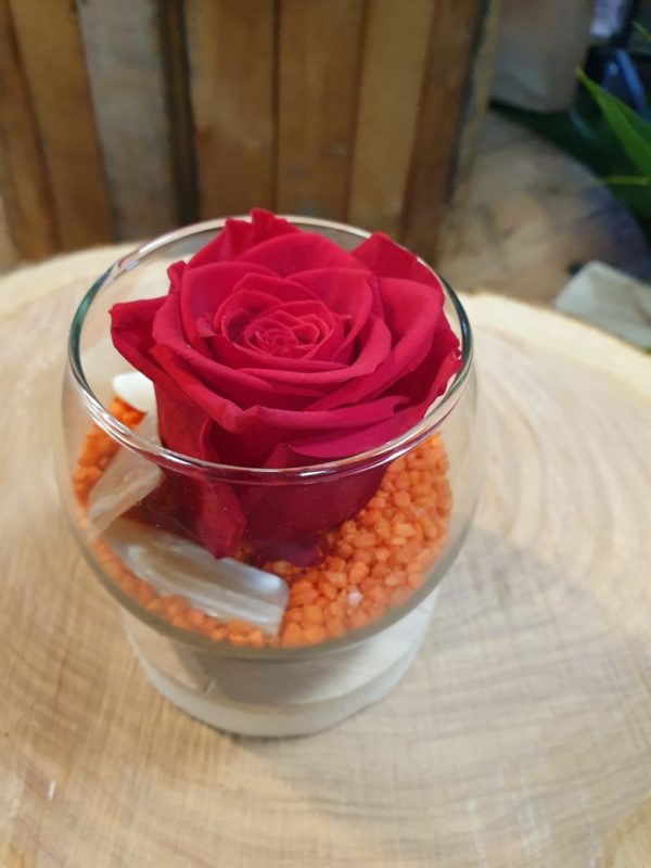 Rose éternelle rouge – Image 3