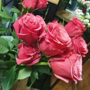 1 rose gros bouton Cherry O