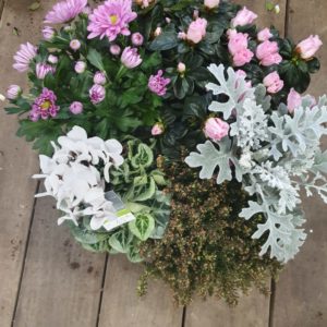 Composition de plantes ton rose