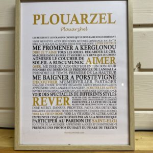 cadre Plouarzel intentions