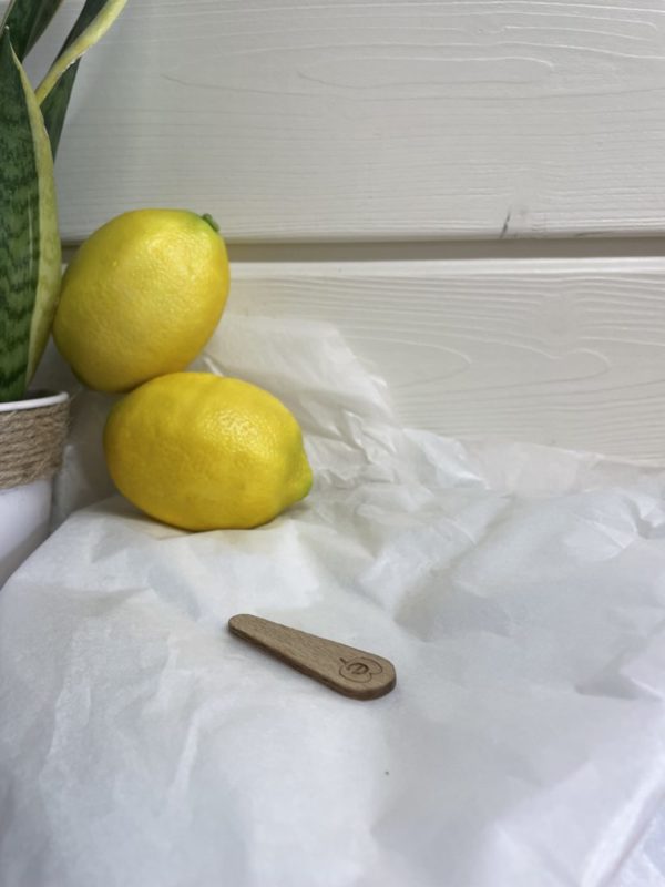 Endro - Petite spatule