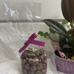 Michel Chatillon - Noisettes enrobées chocolat au lait