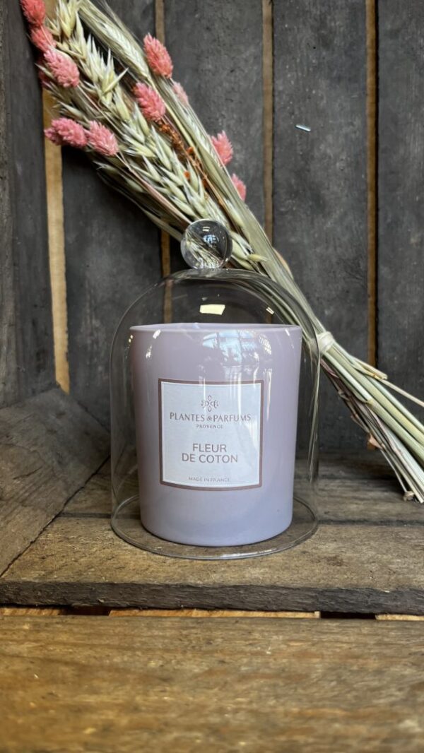 Bougies Plantes&Parfums  – Image 4